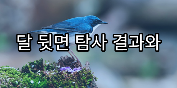 달 뒷면 탐사 결과와 달 탐사의 미래