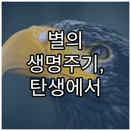별의 생명주기, 탄생에서 초신성까지