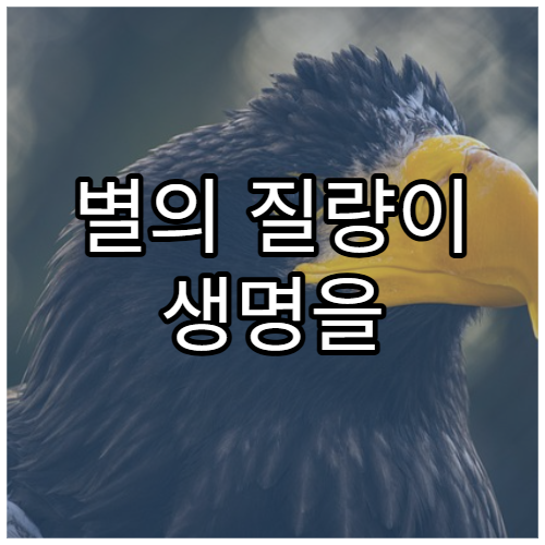 별의 질량이 생명을 결정짓는 이유
