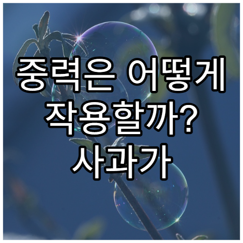 중력은 어떻게 작용할까? 사과가 떨어진 이유