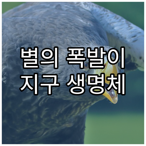 별의 폭발이 지구 생명체 진화에 미친 영향