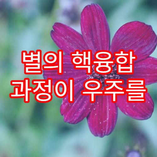 별의 핵융합 과정이 우주를 밝히는 원리