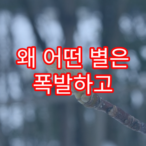 왜 어떤 별은 폭발하고 어떤 별은 조용히 죽을까?