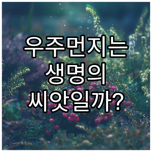 우주먼지는 생명의 씨앗일까?