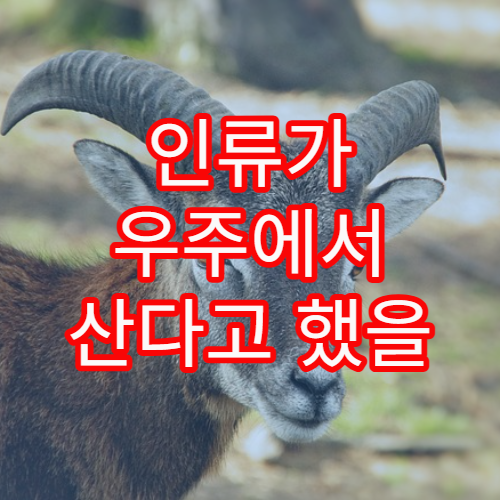 인류가 우주에서 산다고 했을 때 가장 큰 문제는?