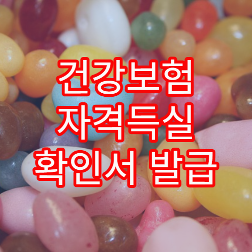 건강보험 자격득실 확인서 발급 방법과 활용 사례 정리