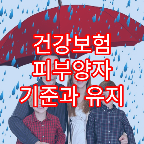 건강보험 피부양자 기준과 유지 요령을 쉽게 정리한 실전 가이드