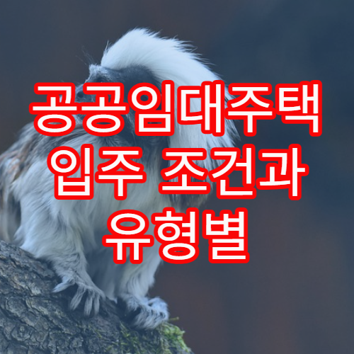 공공임대주택 입주 조건과 유형별 비용 차이 쉽게 설명