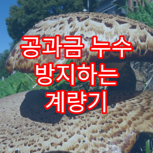 공과금 누수 방지하는 계량기 점검 습관과 절약 방법