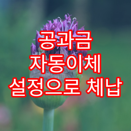 공과금 자동이체 설정으로 체납 방지하는 필수 절차 정리