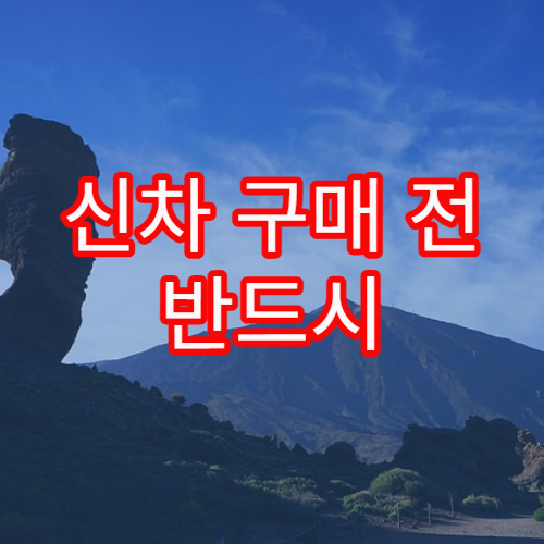 신차 구매 전 반드시 체크해야 할 옵션 선택 기준 안내