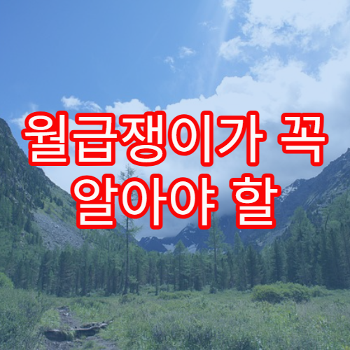 월급쟁이가 꼭 알아야 할 연말정산 꿀팁과 환급 극대화 비법