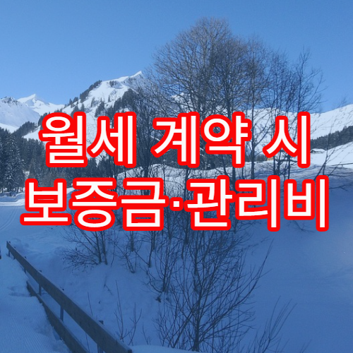 월세 계약 시 보증금·관리비 항목 분석과 절감 요령