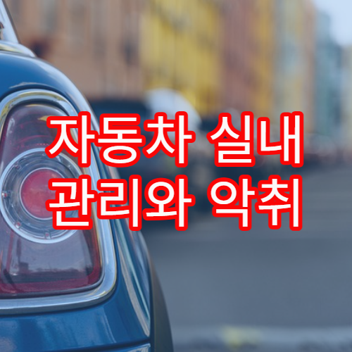 자동차 실내 관리와 악취 제거를 위한 생활 청소 팁