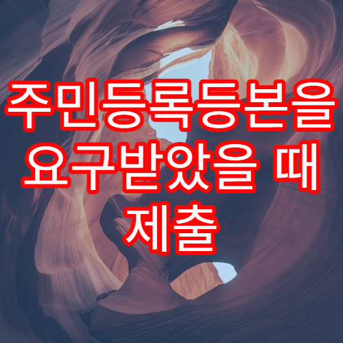 주민등록등본을 요구받았을 때 제출 목적별로 달라지는 선택 기준