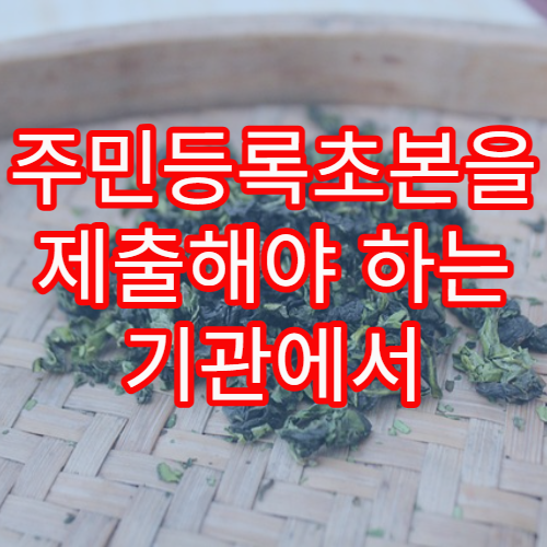 주민등록초본을 제출해야 하는 기관에서 자주 묻는 질문 정리