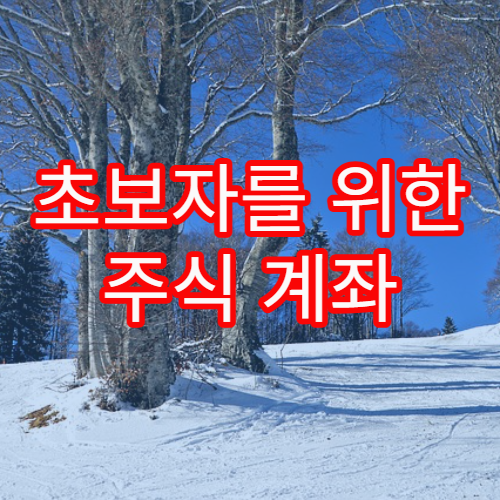 초보자를 위한 주식 계좌 개설과 최소 위험 투자 전략 정리