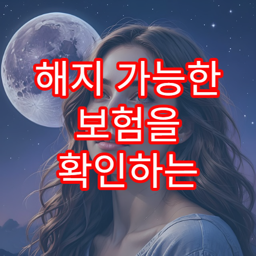 해지 가능한 보험을 확인하는 방법과 불필요한 보험 정리 팁