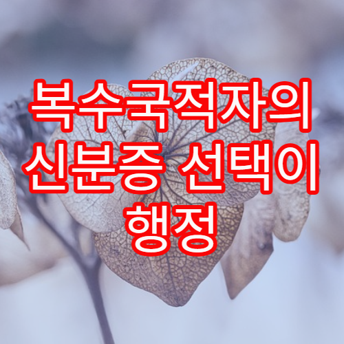 복수국적자의 신분증 선택이 행정 처리에 미치는 영향