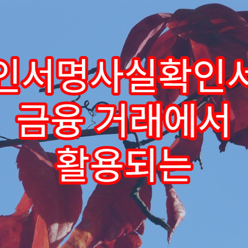 본인서명사실확인서가 금융 거래에서 활용되는 실제 사례