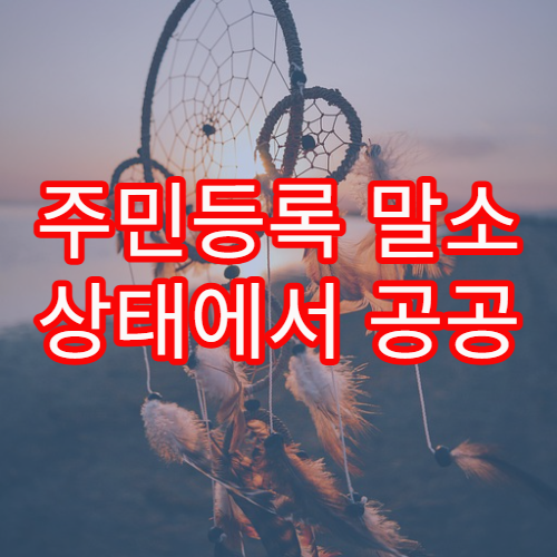 주민등록 말소 상태에서 공공 서비스 이용 제한 사례
