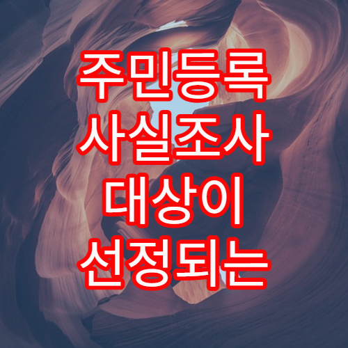 주민등록 사실조사 대상이 선정되는 기준 정리