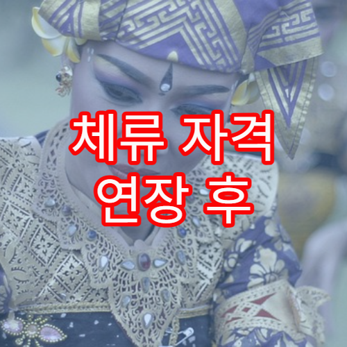 체류 자격 연장 후 주민등록 관련 변경 사항 정리