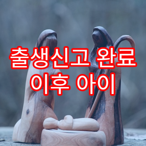 출생신고 완료 이후 아이 관련 공공 서비스 연계 과정