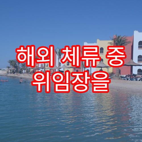 해외 체류 중 위임장을 활용한 민원 처리 실무 설명